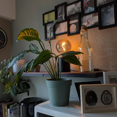 公寓 Charming In A Great Location *