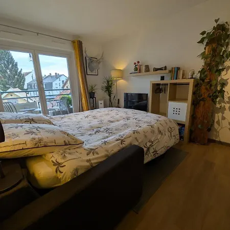 شقة Charming In A Great Location ستراسبورغ