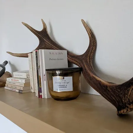 Charming In A Great Location 公寓